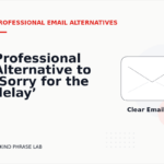 Professional Alternative to ‘Sorry for the delay’
